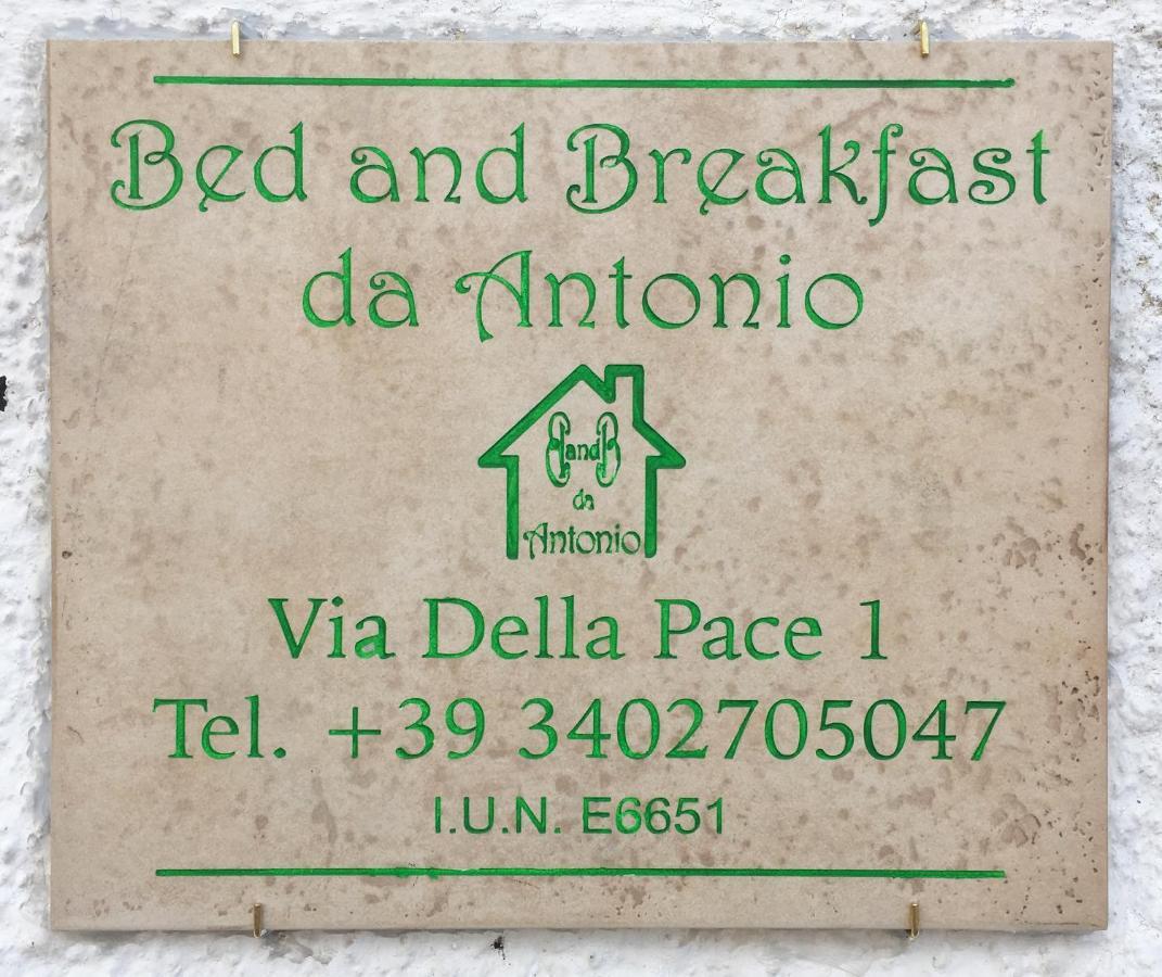 Bed And Breakfast Da Antonio - Орґозоло Екстер'єр фото